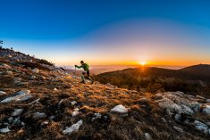 Okupljanje elitnih trail trkača na 7. izdanju 100 milja Istre