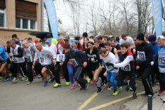 Ludnica na Šalati i Schlosserovim stubama: Kreće 11. izdanje utrke 162 stube