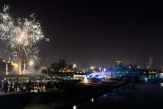 Noćni gušti s ušća Save i Dunava