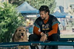 Čovjek i pas u avanturističkoj utrci života: Pogledajte trailer za ludo dobar film Izazov života