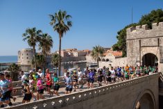 Trkači sa svih kontinenata dolaze u Dubrovnik