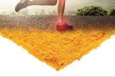 FLEXOFYTOL: inovacija s dugom tradicijom