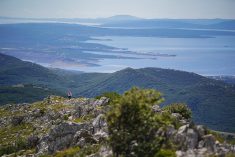 Vertikalno lice Platka – predah od ljetne žege na predivnim trail stazama s pogledom na Kvarnerski zaljev