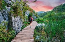 Rekordnih 46 zemalja na 41. Plitvičkom maratonu koji ove godine trči za udrugu Plava krila
