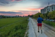 Zagrebački proljetni cener – gdje, kada, kako, zašto, koliko…