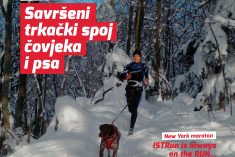 Broj 29 – prosinac 2018.