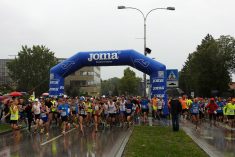 Goran Grdenić i Bojana Bjeljac slavili na Varaždinskom polumaratonu