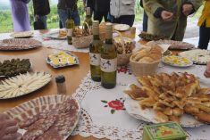 Najavljena omiljena eno-gastro manifestacija – Vivodina Wine and Walk