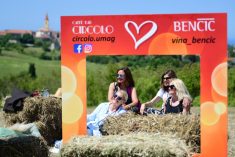 Proljetni Wine&Walk ponovo opio svojom magijom