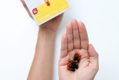 Vaša formulacija za imunitet