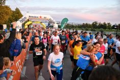 HT B2Run okupio cijelu poslovnu zajednicu na zagrebačkom Jarunu