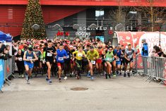Trčimo s volonterima veselu božićnu peticu kod Westgatea