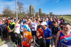 Brže, više, veselije