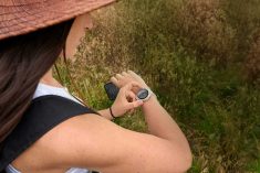 Nova Garminova funkcija za praćenje trudnoće