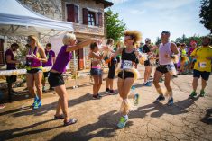 Istrian Wine Run: Utrka za hedoniste i ljubitelje vinskih avantura