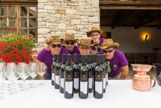 Istrian Wine Run na pauzi