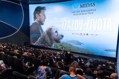 Premijera filma Izazov života s Markom Wahlbergom u glavnoj ulozi oduševila publiku
