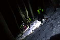 Halucinacije, agonija i tople ljubavne priče
