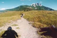 Trčite Ogulin Trail s najboljim (četveronožnim) frendom!