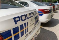 Mi šumom, policajac drumom