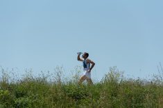 Buđenje iz zimskog sna