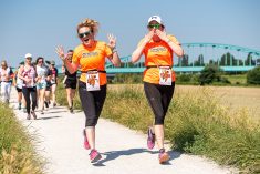 Kad, kako, zašto, gdje… na Proljetni cener 2021?