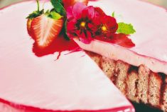 Ljetna proteinska torta (za kalup od 25 cm)