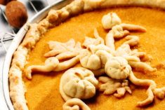 Pita od muškat tikve s protein Skyrom (za kalup veličine 24 cm)