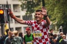 Kockice u Bruxellesu