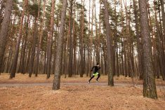 Snaga sprinteva: Bezglava jurnjava ili trening koji jamči napredak?
