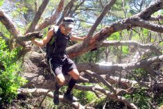 Treking liga: Hvali cestu, drž se šume