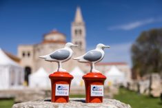Zadarski Wings for Life World Run dobio novi pobjednički trofej!
