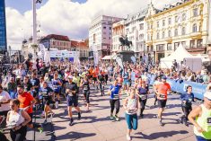 Zagrebački maraton 2023: Atraktivne staze, navijački punktovi, krasna medalja