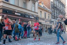 Zagrebački maraton 2020: Nova ruta, manje ljudi, nova pravila