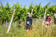 Salomon Žumberak trail: Priroda, sport i strast u srcu Hrvatske