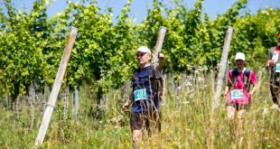 Salomon Žumberak trail: Priroda, sport i strast u srcu Hrvatske